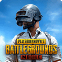PUBG MOBILE国际服 - Android枪战射击游戏策略指南