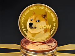 狗狗币钱包安卓版下载 - 高效管理数字资产