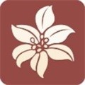 300百合会 - 与书友互动，支持书籍下载