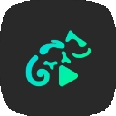 蜥蜴音乐播放器最新版本下载 - Stellio Player 安卓影音播放